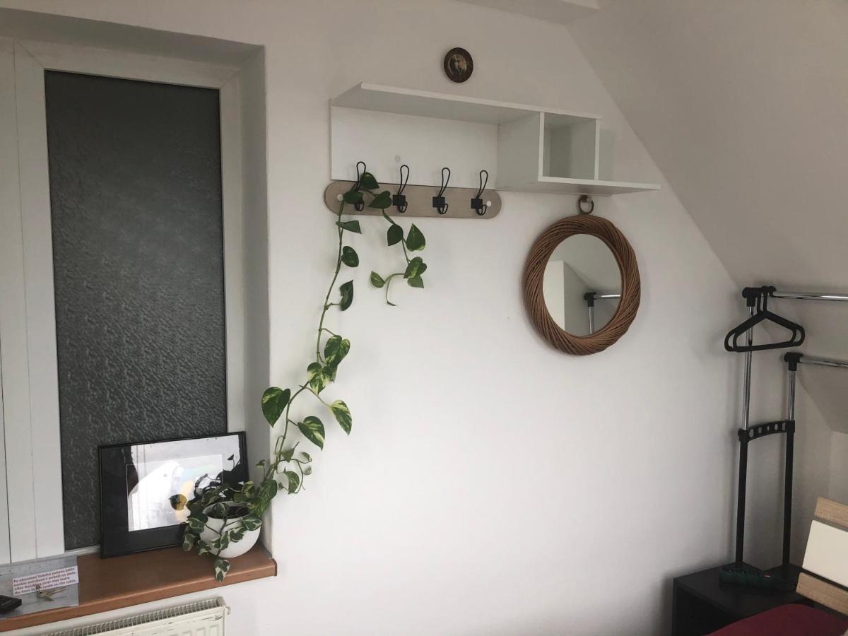 Homestay U Hanky Zdiby Dış mekan fotoğraf